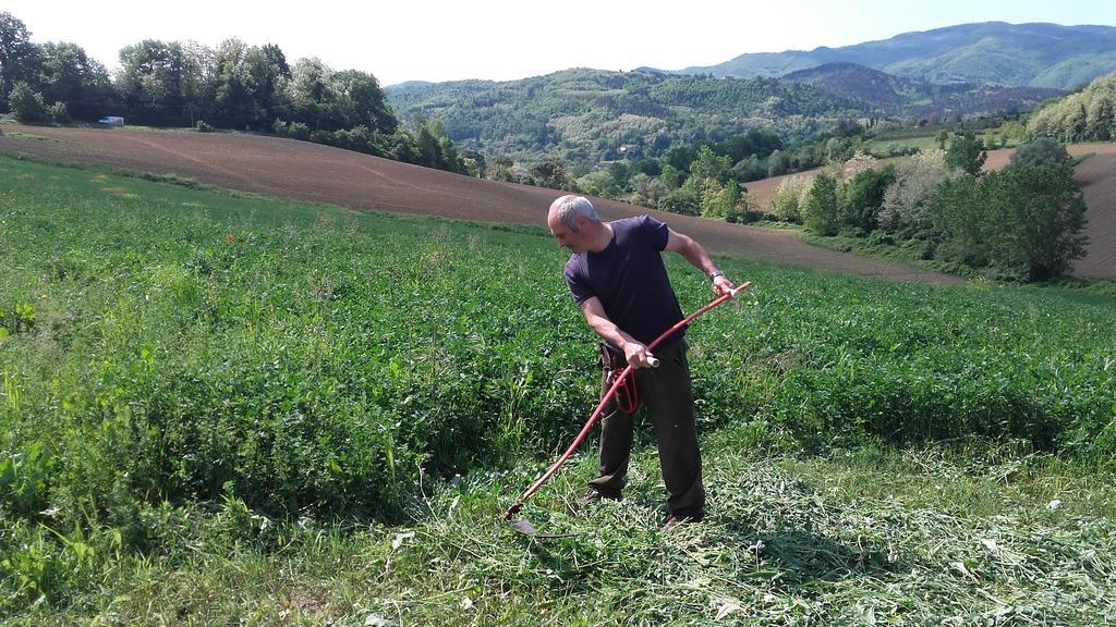 Agriturismo Stazione Di Monta Villa Vicchio Eksteriør billede