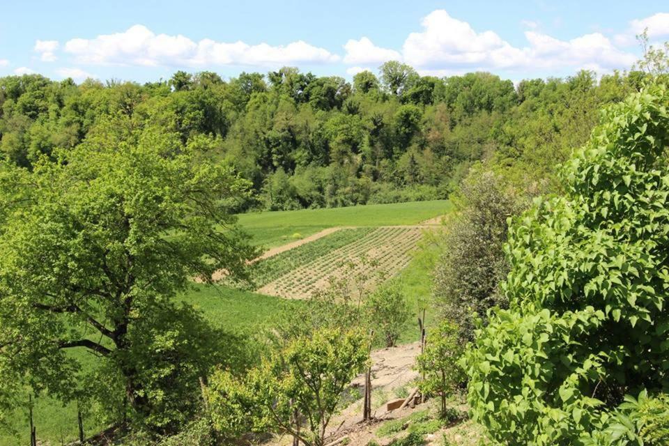 Agriturismo Stazione Di Monta Villa Vicchio Eksteriør billede